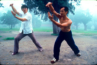 Tai Chi Lesson, China